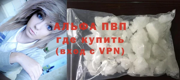 индика Зеленодольск