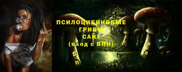 молекула духа Белоозёрский