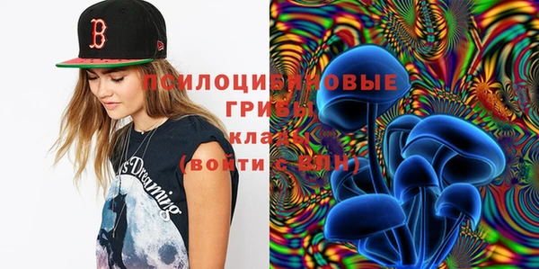 таблы Белокуриха