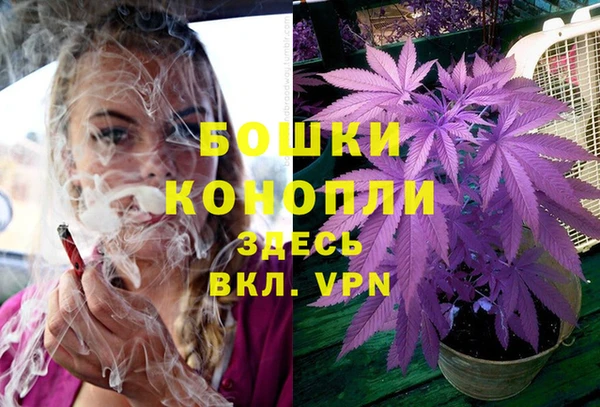 молекула духа Белоозёрский
