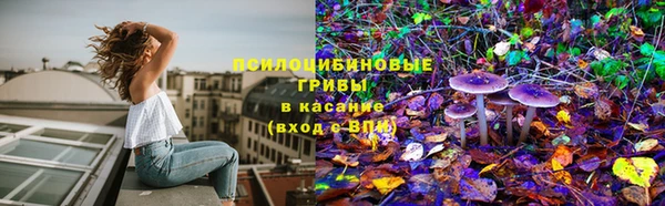 молекула духа Белоозёрский