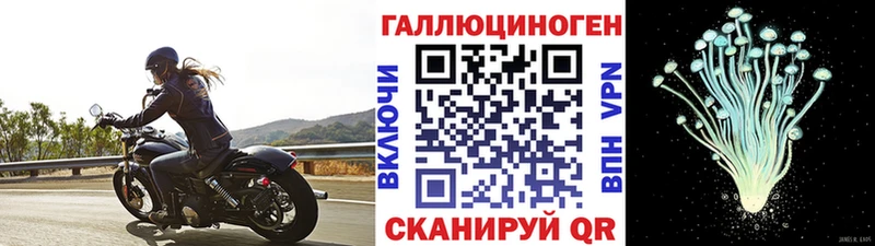 Галлюциногенные грибы GOLDEN TEACHER  сколько стоит  Котовск 